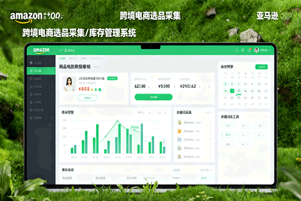 跨境电商 选品 库存监视系统